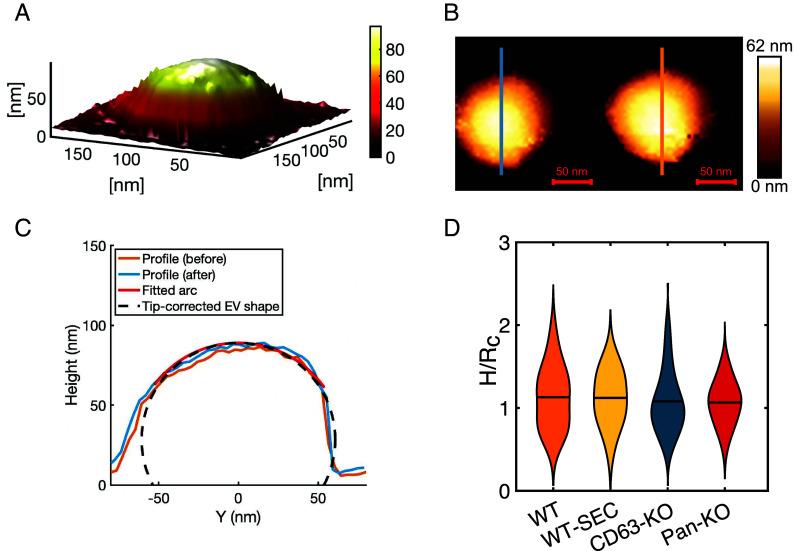 https://cdn.ncbi.nlm.nih.gov/pmc/blobs/fbe8/12037009/8d3847ca2443/pnas.2414174122fig01.jpg