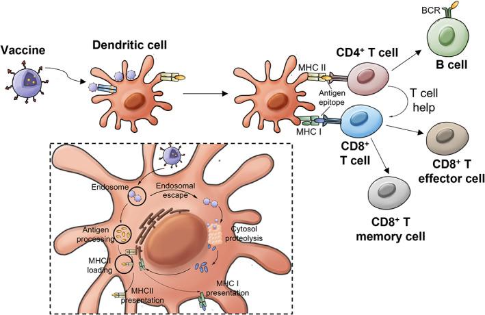 https://cdn.ncbi.nlm.nih.gov/pmc/blobs/fbe8/9541041/57214893fbe7/WNAN-14-e1824-g006.jpg
