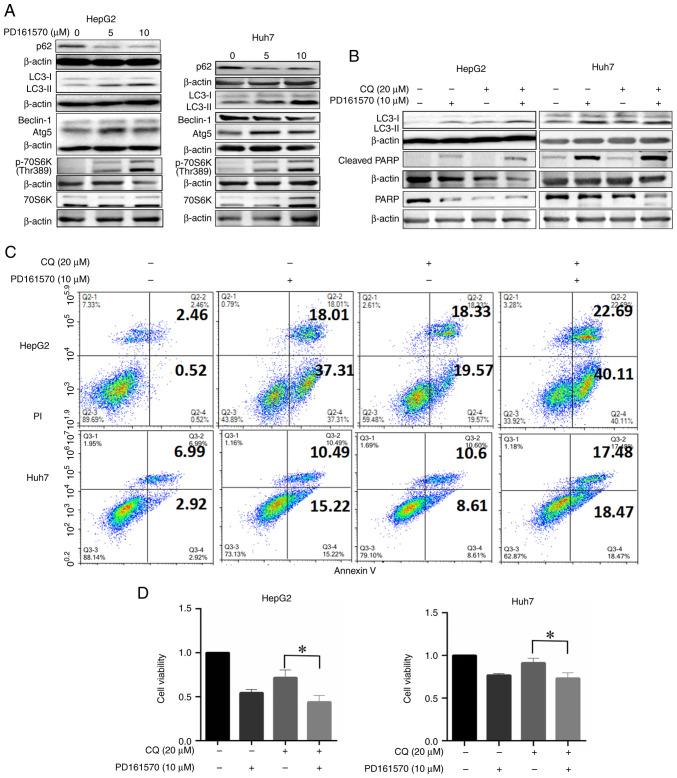 https://cdn.ncbi.nlm.nih.gov/pmc/blobs/fbe9/12046374/841258f2d9b0/mmr-32-01-13540-g01.jpg