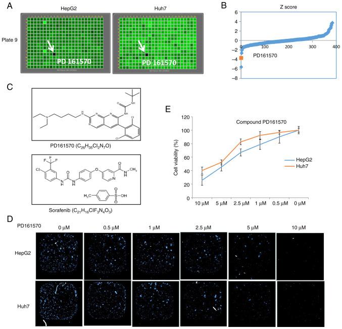 https://cdn.ncbi.nlm.nih.gov/pmc/blobs/fbe9/12046374/db3b1c1312fe/mmr-32-01-13540-g00.jpg
