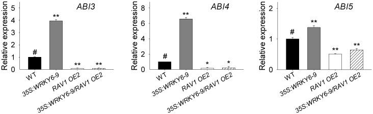 https://cdn.ncbi.nlm.nih.gov/pmc/blobs/fbea/4734665/7dfd9e6e7e61/pgen.1005833.g007.jpg