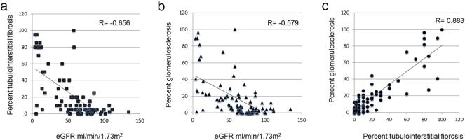 https://cdn.ncbi.nlm.nih.gov/pmc/blobs/fbec/5652292/1589f061779b/gr1.jpg
