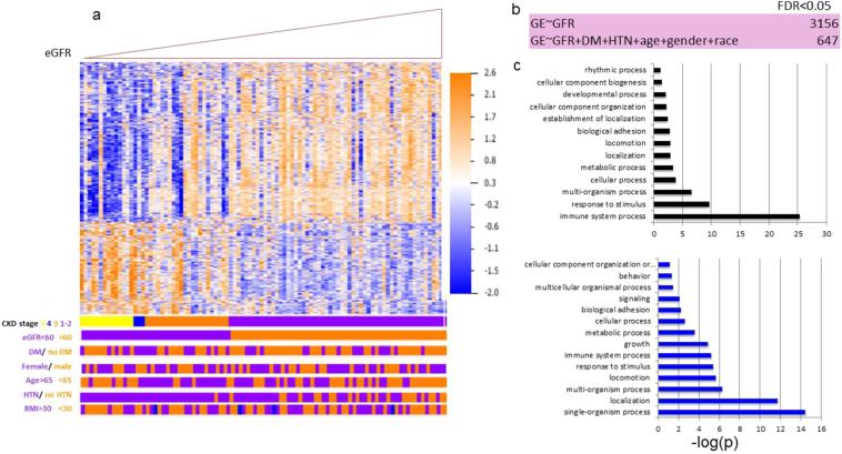 https://cdn.ncbi.nlm.nih.gov/pmc/blobs/fbec/5652292/5992c7c7f367/gr3.jpg