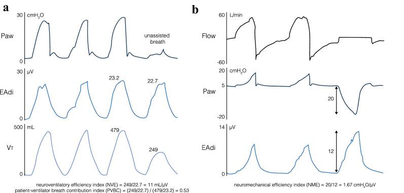 https://cdn.ncbi.nlm.nih.gov/pmc/blobs/fbec/7417783/61f73df73551/134_2020_6206_Fig5_HTML.jpg