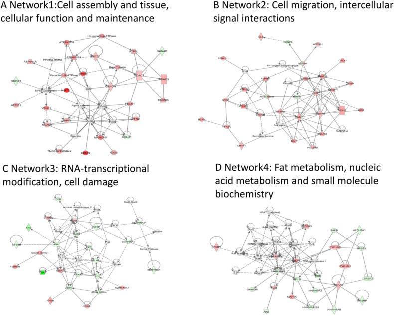 https://cdn.ncbi.nlm.nih.gov/pmc/blobs/fbed/7111741/373ffe0e26ae/gr5_lrg.jpg