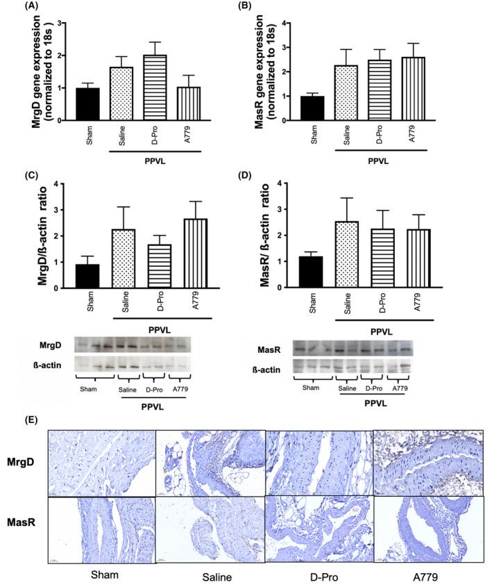 https://cdn.ncbi.nlm.nih.gov/pmc/blobs/fbee/9426402/7585cf428e59/HEP4-6-2523-g001.jpg