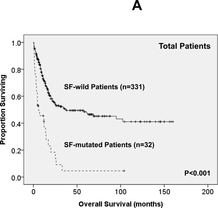 https://cdn.ncbi.nlm.nih.gov/pmc/blobs/fbef/4891028/33e7200ebb95/oncotarget-07-9084-g002a.jpg
