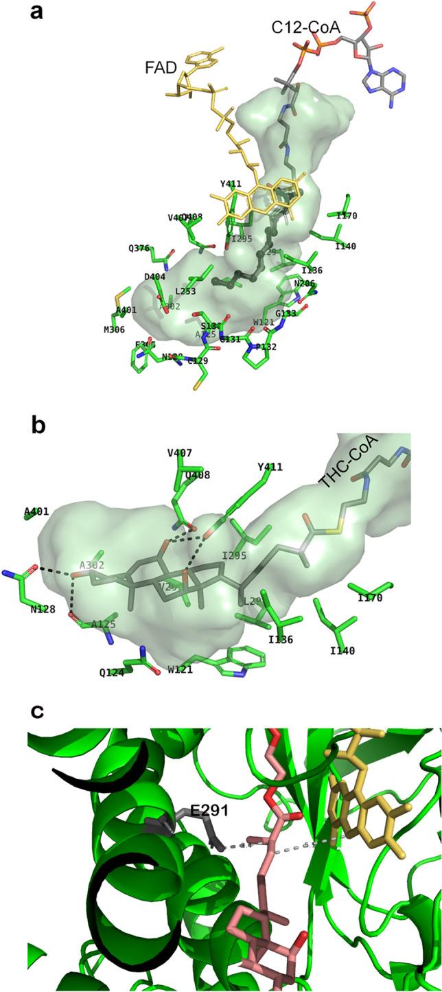 https://cdn.ncbi.nlm.nih.gov/pmc/blobs/fbf1/11153573/3643eabad6ae/41598_2024_63027_Fig4_HTML.jpg