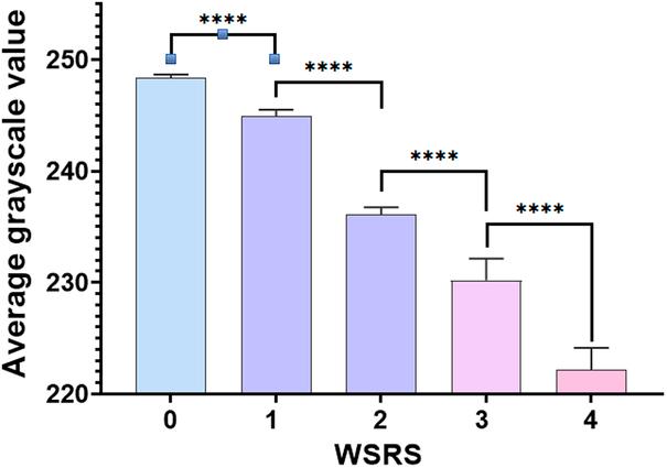 https://cdn.ncbi.nlm.nih.gov/pmc/blobs/fbf4/12020391/2dfb05bfc737/scs-36-0966-g002.jpg