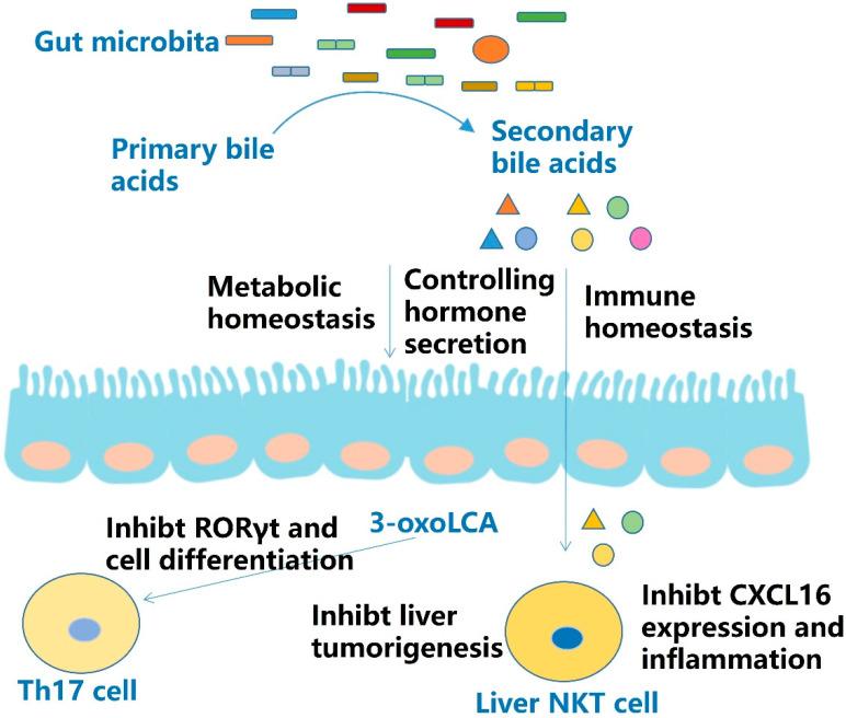 https://cdn.ncbi.nlm.nih.gov/pmc/blobs/fbf5/9369921/1a56d2aa8067/molecules-27-04799-g005.jpg