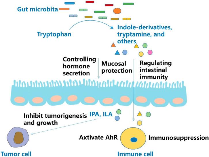https://cdn.ncbi.nlm.nih.gov/pmc/blobs/fbf5/9369921/4005433172c1/molecules-27-04799-g004.jpg
