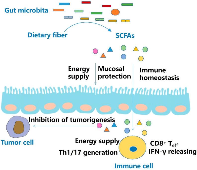 https://cdn.ncbi.nlm.nih.gov/pmc/blobs/fbf5/9369921/ceff97180d0c/molecules-27-04799-g001.jpg