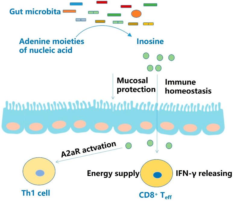 https://cdn.ncbi.nlm.nih.gov/pmc/blobs/fbf5/9369921/db03567e664d/molecules-27-04799-g002.jpg