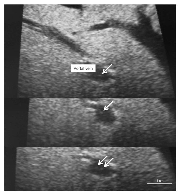 https://cdn.ncbi.nlm.nih.gov/pmc/blobs/fbf7/4010569/b3a606b19cad/isl-5-179-g3.jpg