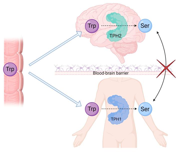 https://cdn.ncbi.nlm.nih.gov/pmc/blobs/fbf7/9861641/2c41fa89e165/ijms-24-01549-g001.jpg
