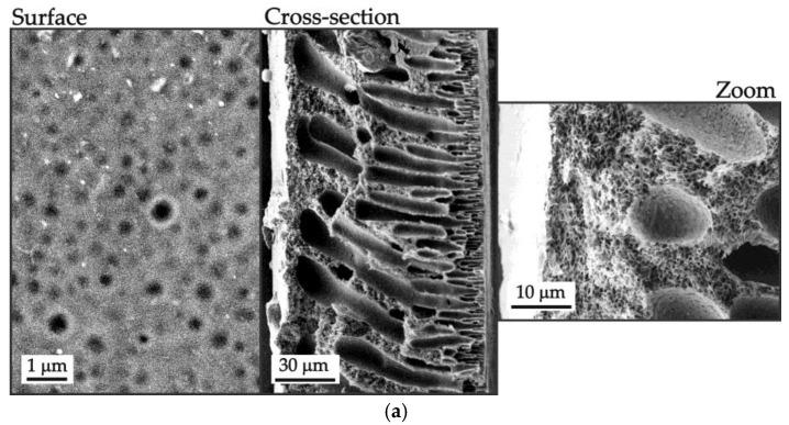 https://cdn.ncbi.nlm.nih.gov/pmc/blobs/fbfb/11728457/5d2951042f06/polymers-16-03491-g008a.jpg