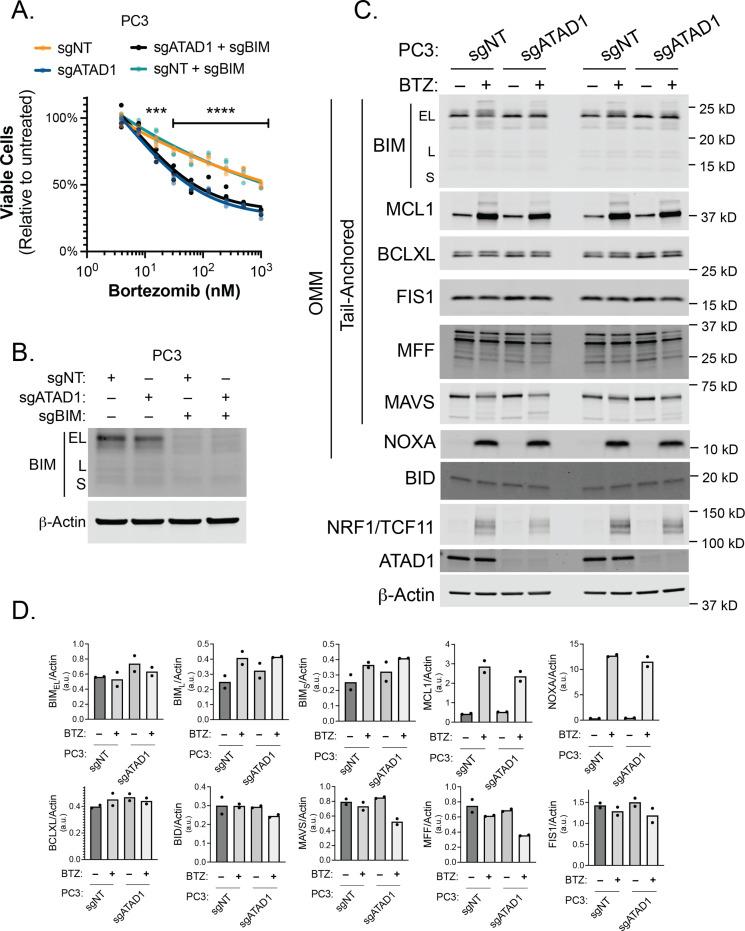 https://cdn.ncbi.nlm.nih.gov/pmc/blobs/fbfc/9815822/296f6d0ec821/elife-82860-fig3-figsupp4.jpg
