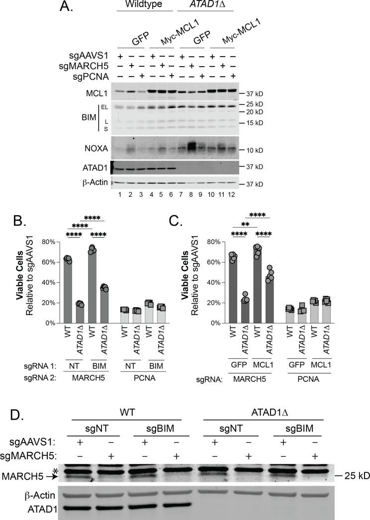 https://cdn.ncbi.nlm.nih.gov/pmc/blobs/fbfc/9815822/3c393ef60631/elife-82860-fig2-figsupp2.jpg