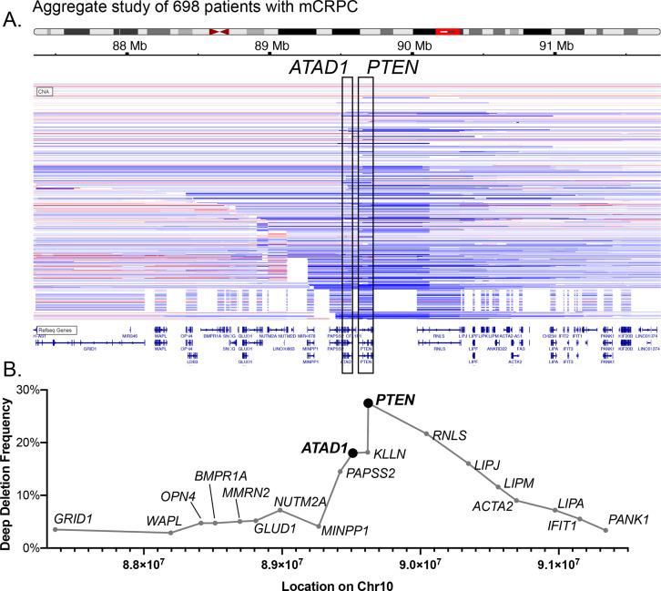 https://cdn.ncbi.nlm.nih.gov/pmc/blobs/fbfc/9815822/7a0973696712/elife-82860-fig1-figsupp2.jpg
