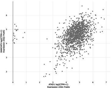 https://cdn.ncbi.nlm.nih.gov/pmc/blobs/fbfc/9815822/81b20e60e701/elife-82860-sa2-fig3.jpg