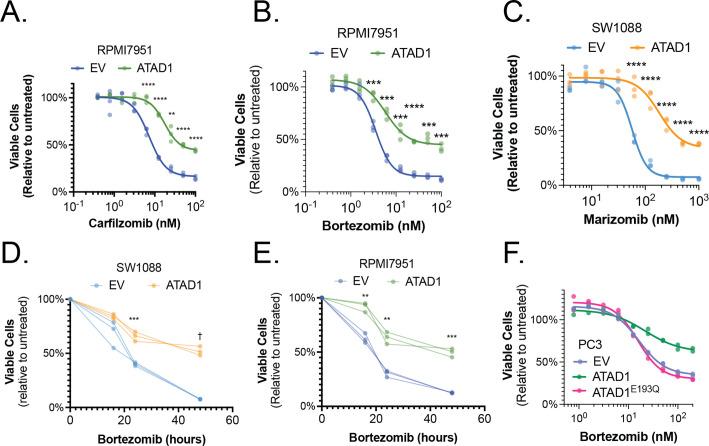 https://cdn.ncbi.nlm.nih.gov/pmc/blobs/fbfc/9815822/8b3db6d32b33/elife-82860-fig3-figsupp2.jpg