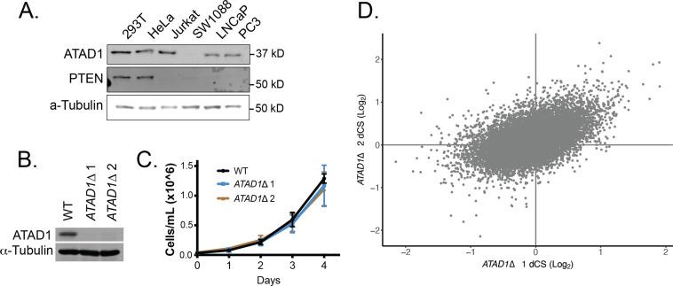 https://cdn.ncbi.nlm.nih.gov/pmc/blobs/fbfc/9815822/bfb48a3c8585/elife-82860-fig1-figsupp3.jpg
