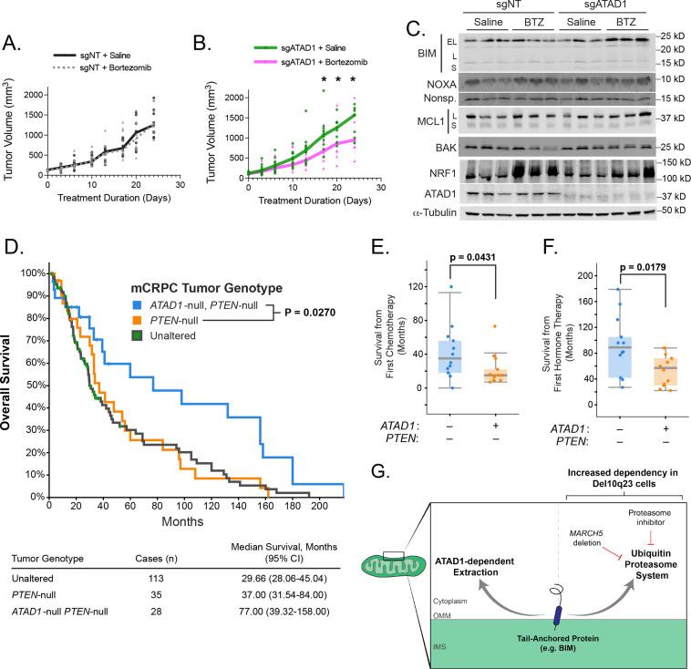 https://cdn.ncbi.nlm.nih.gov/pmc/blobs/fbfc/9815822/c1947ccf707b/elife-82860-fig4.jpg