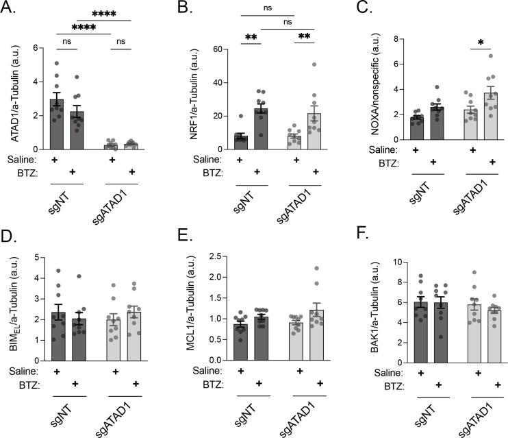 https://cdn.ncbi.nlm.nih.gov/pmc/blobs/fbfc/9815822/c20783784072/elife-82860-fig4-figsupp1.jpg