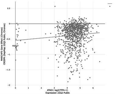 https://cdn.ncbi.nlm.nih.gov/pmc/blobs/fbfc/9815822/d87f31d86305/elife-82860-sa2-fig12.jpg