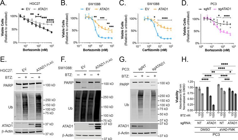 https://cdn.ncbi.nlm.nih.gov/pmc/blobs/fbfc/9815822/ecc897567b62/elife-82860-fig3.jpg
