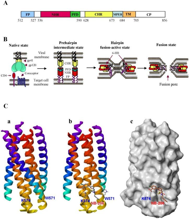 https://cdn.ncbi.nlm.nih.gov/pmc/blobs/fbff/3564113/0f1bf13ad9fd/viruses-05-00127-g001.jpg