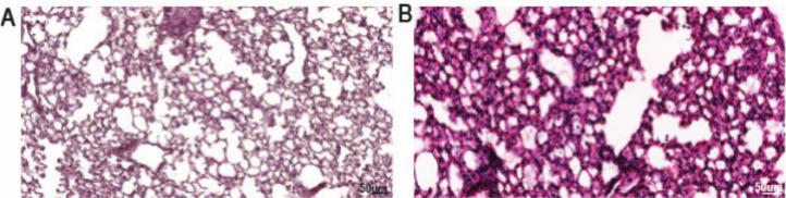 https://cdn.ncbi.nlm.nih.gov/pmc/blobs/fc00/11497357/ef6908747478/tx4c00113_0004.jpg