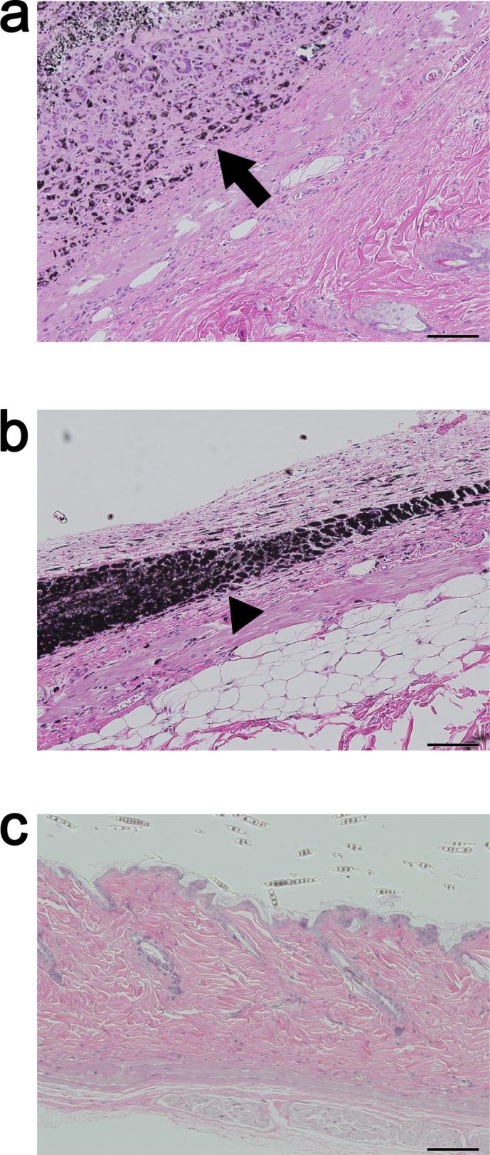 https://cdn.ncbi.nlm.nih.gov/pmc/blobs/fc00/3391660/72de11f8982b/srep00498-f4.jpg