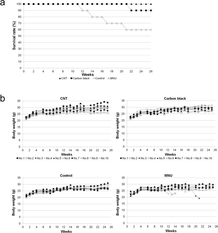 https://cdn.ncbi.nlm.nih.gov/pmc/blobs/fc00/3391660/d346af343556/srep00498-f1.jpg