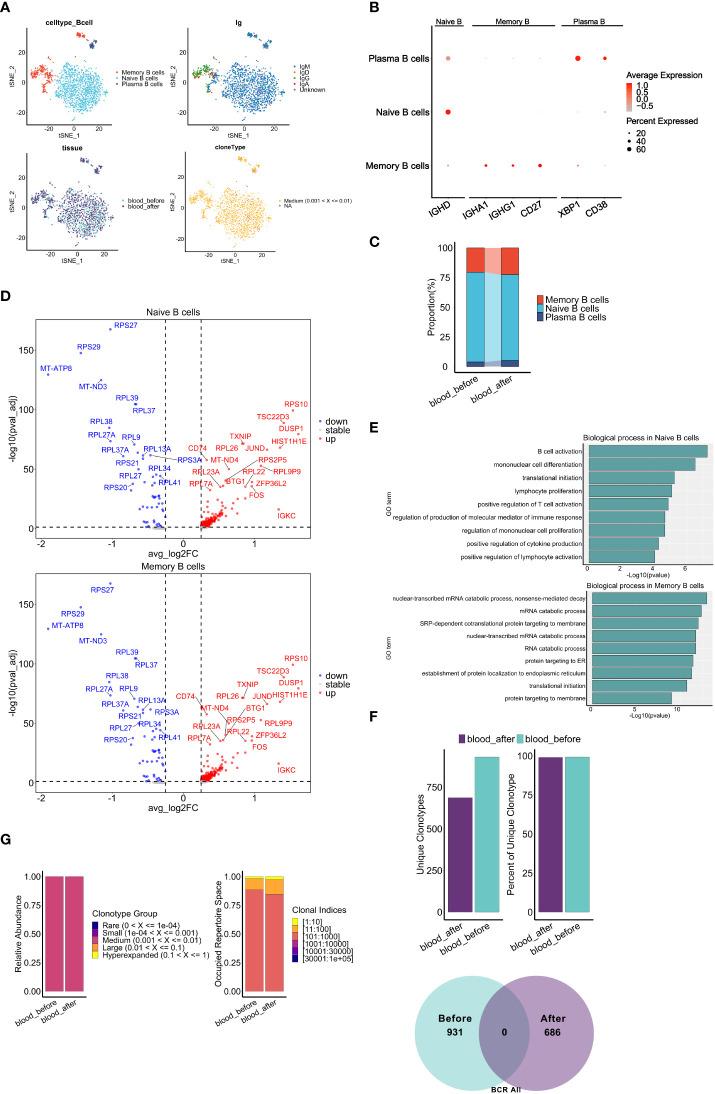 https://cdn.ncbi.nlm.nih.gov/pmc/blobs/fc04/9555851/323ff03528e5/fimmu-13-985187-g007.jpg