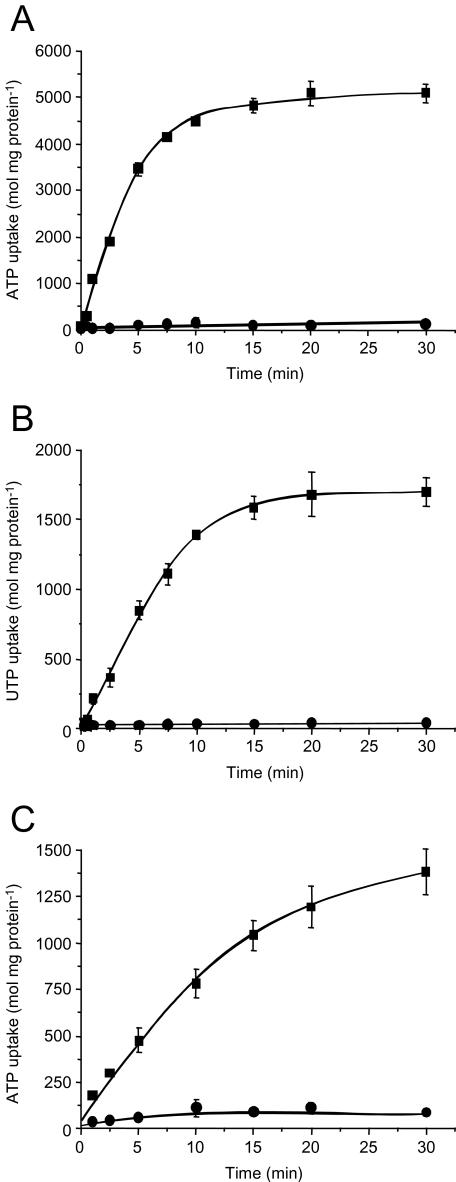 https://cdn.ncbi.nlm.nih.gov/pmc/blobs/fc05/1513512/c99a9f2173e1/mmi060-1534-f1.jpg