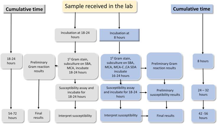 https://cdn.ncbi.nlm.nih.gov/pmc/blobs/fc07/12281735/91b8139d116c/acmi-7-00942-g001.jpg