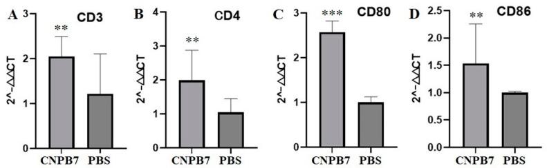 https://cdn.ncbi.nlm.nih.gov/pmc/blobs/fc09/11360326/1fe130370c02/vaccines-12-00834-g006.jpg