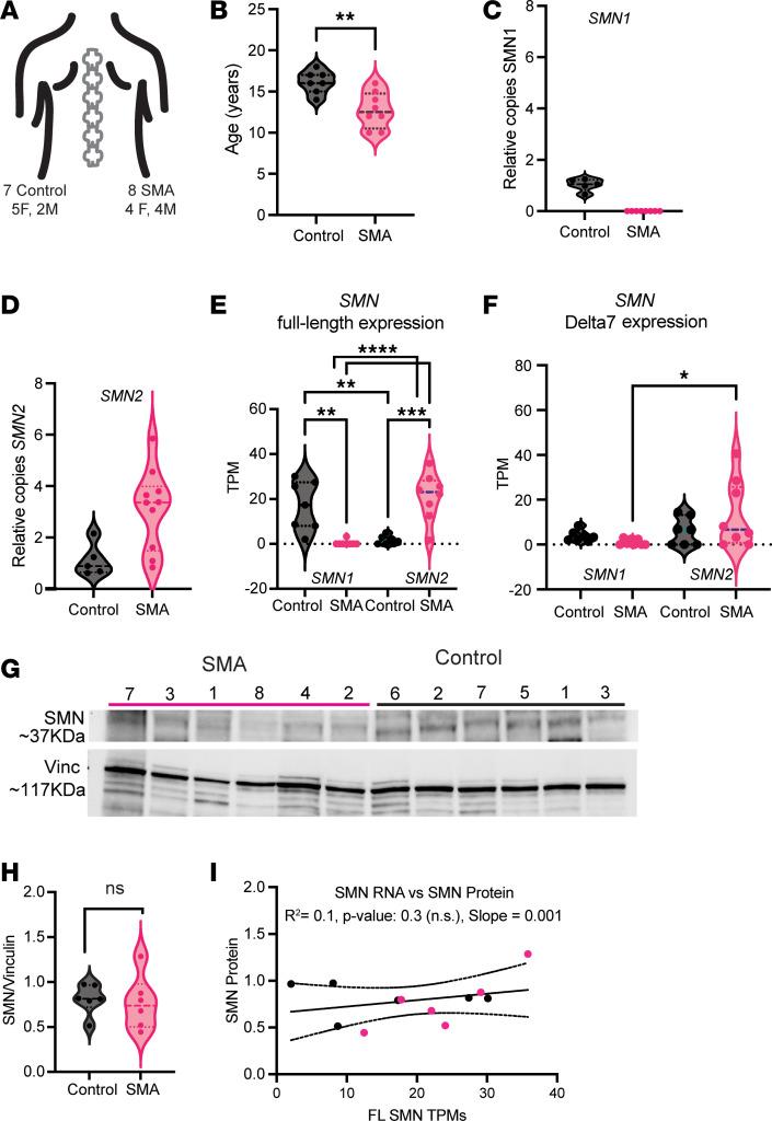 https://cdn.ncbi.nlm.nih.gov/pmc/blobs/fc09/11530132/7c1615a146ef/jciinsight-9-180992-g088.jpg