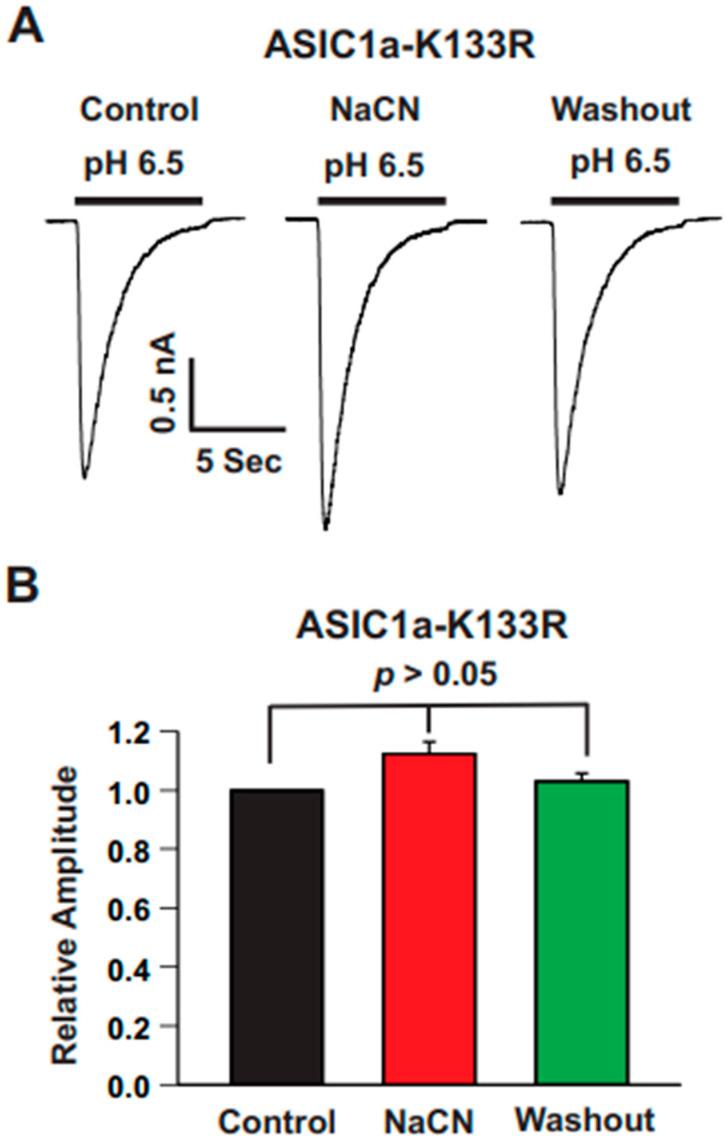 https://cdn.ncbi.nlm.nih.gov/pmc/blobs/fc09/12025268/4b8b55e5a943/biomolecules-15-00479-g010.jpg