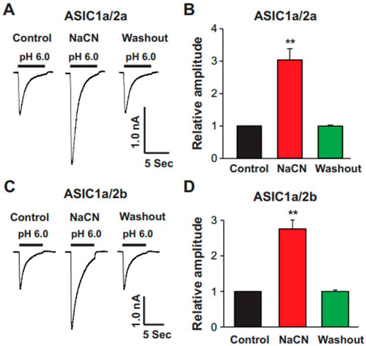 https://cdn.ncbi.nlm.nih.gov/pmc/blobs/fc09/12025268/8ed64e22624b/biomolecules-15-00479-g009.jpg