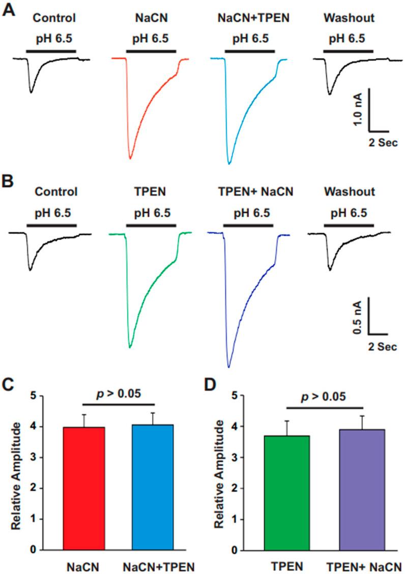 https://cdn.ncbi.nlm.nih.gov/pmc/blobs/fc09/12025268/95e184f060c8/biomolecules-15-00479-g005.jpg