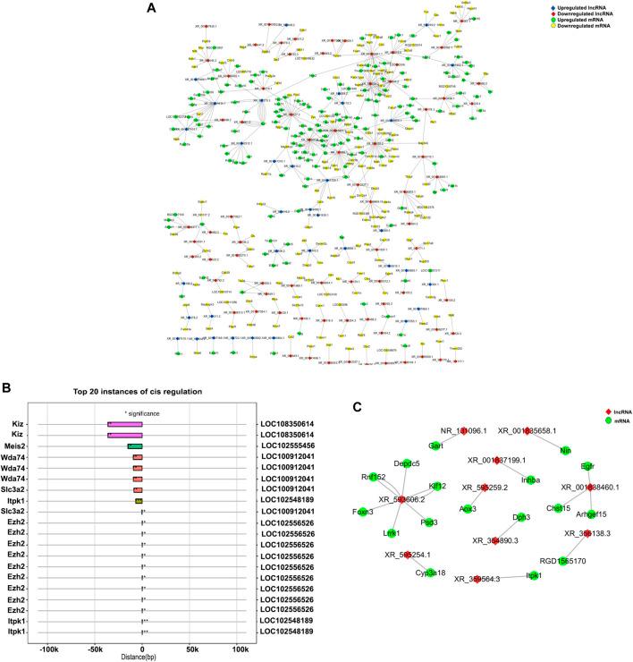 https://cdn.ncbi.nlm.nih.gov/pmc/blobs/fc09/9909345/b7b31e60ebe8/fgene-14-1041266-g006.jpg