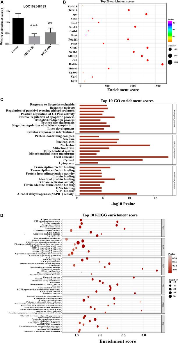 https://cdn.ncbi.nlm.nih.gov/pmc/blobs/fc09/9909345/e664957c4b62/fgene-14-1041266-g009.jpg