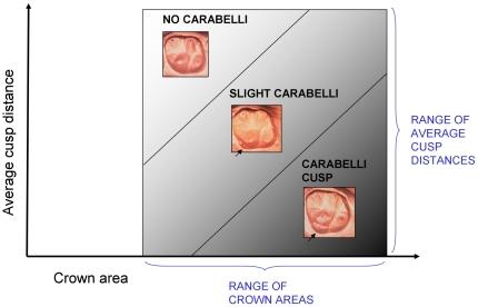 https://cdn.ncbi.nlm.nih.gov/pmc/blobs/fc0b/2912281/5edbbfb6392a/pone.0011844.g001.jpg