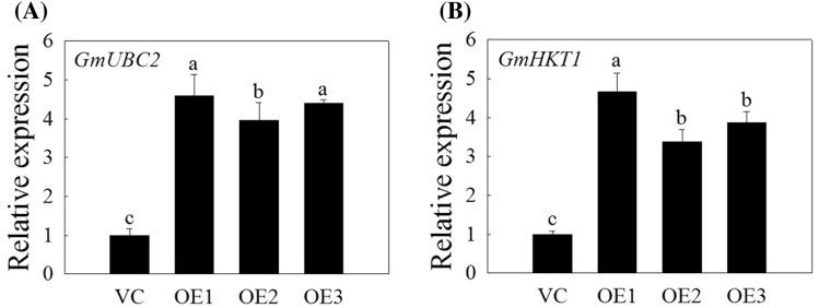 https://cdn.ncbi.nlm.nih.gov/pmc/blobs/fc0b/7858558/5f4fae6f3c33/11103_2020_1091_Fig6_HTML.jpg