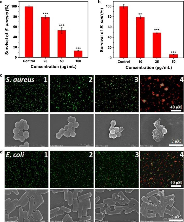 https://cdn.ncbi.nlm.nih.gov/pmc/blobs/fc0d/6466657/caf432fbad24/12951_2019_487_Fig3_HTML.jpg