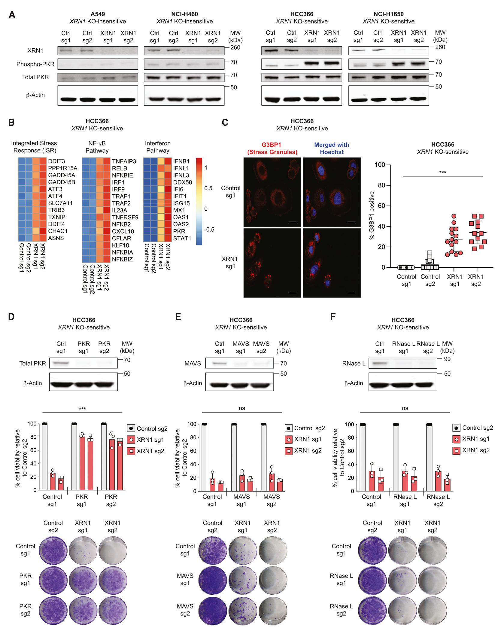 https://cdn.ncbi.nlm.nih.gov/pmc/blobs/fc0f/10989277/3cb364002368/nihms-1970882-f0002.jpg