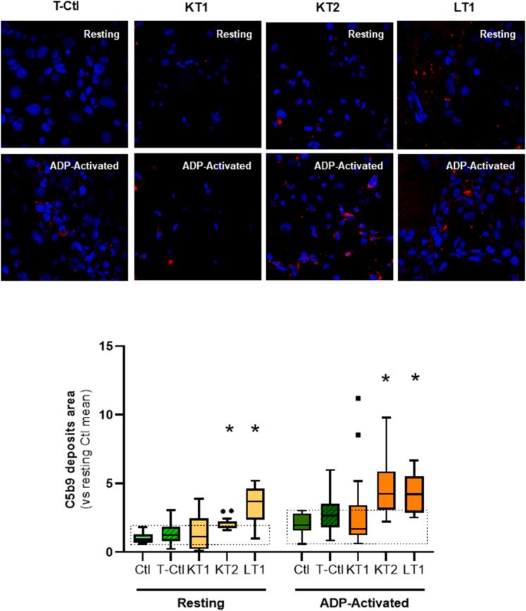 https://cdn.ncbi.nlm.nih.gov/pmc/blobs/fc10/11284441/48f33318b857/gr2.jpg