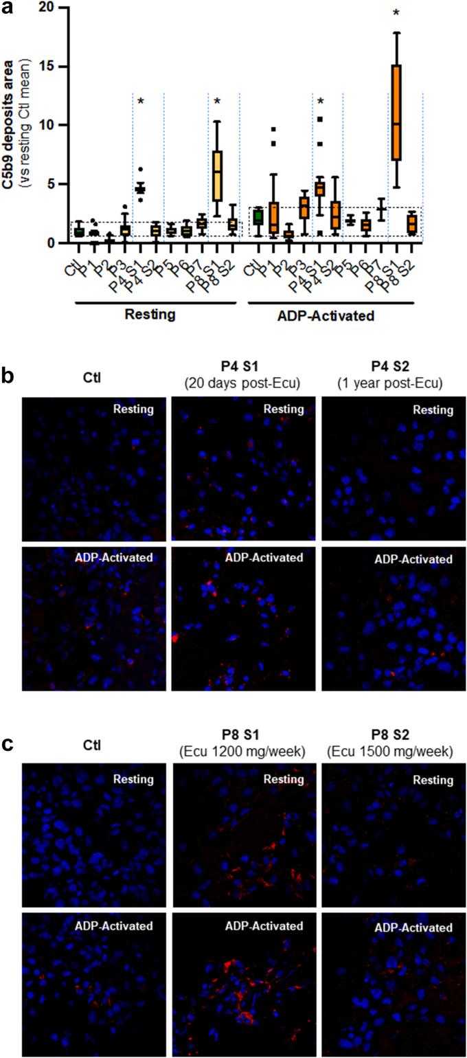 https://cdn.ncbi.nlm.nih.gov/pmc/blobs/fc10/11284441/7093bc8e272f/gr1.jpg